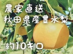 (14玉〜18玉サイズ豊水梨)約10kg★送料込★秋田県産のサムネイル