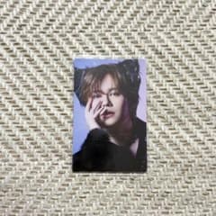 NINE LIVES 토레카 통상판 카이
