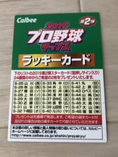 2019 プロ野球チップス ラッキーカードのサムネイル