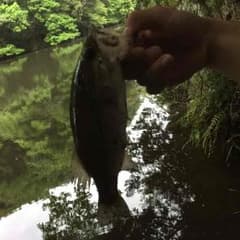 ひなみ様専用のサムネイル