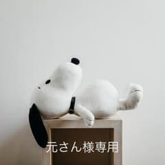 ノースフェイス ダウンベスト 元さん専用のサムネイル