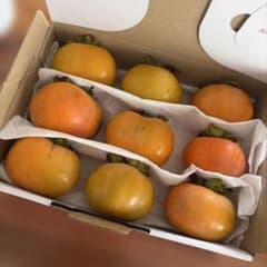 庭で採れた柿　9個入りのサムネイル