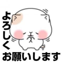 専用ですm(_ _)mのサムネイル