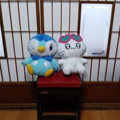 ぬいぐるみ 2点セット ポッチャマ 猫のサムネイル