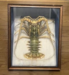 伊勢海老 海老 縁起物 置物 - メルカリ