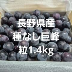 長野県産種なし巨峰粒1.4kgのサムネイル