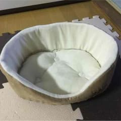 小型犬・仔猫 ベッドのサムネイル