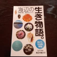 海辺の生き物語のサムネイル