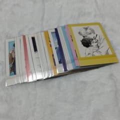 誰か夢だと言ってくれ ぱしゃこれ 21枚セットのサムネイル