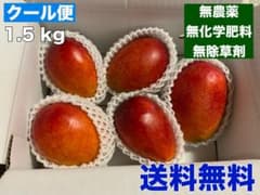[농원 직송·자택용] 완숙 망고 1.5kg 어윈