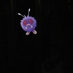かずさん専用のサムネイル