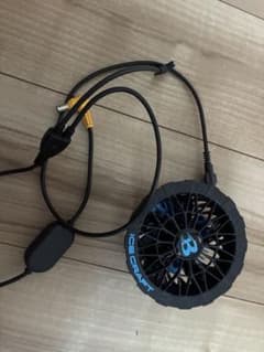 バートルペルチェ片方。のサムネイル