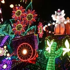 みみさま専用バンボのサムネイル