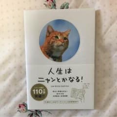 人生はニャンとかなる！のサムネイル