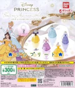 Disney Princess コスチュームめじるしアクセサリー コンプのサムネイル