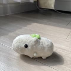 카피바라씨 매우 산책 태엽식