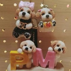 シーズー☆４点set☆のサムネイル