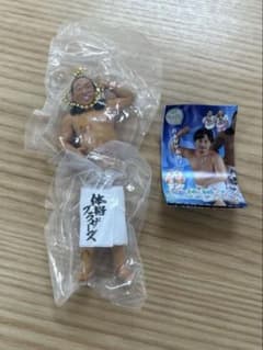 体格ブラザーズ ビックボディコレクション秋山さん(リュウ) フィギュアのサムネイル