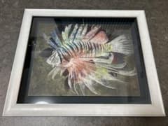 日本画　鷹濱春奈先生　華魚 日本画 鷹濱春奈先生 華魚 - メルカリ