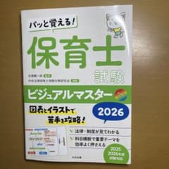 パッと覚える! 保育士試験ビジュアルマスター2026のサムネイル