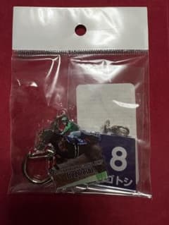 イロゴトシ アクリルキーホルダー 2024中山グランドジャンプ　未開封品のサムネイル
