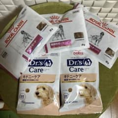 腎臓ケア 療法食・療養食 試供品 計5袋 期限間近のサムネイル