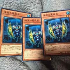 遊戯王海皇の重装兵のサムネイル