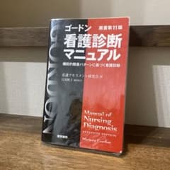 ゴードン看護診断マニュアル : 機能的健康パターンに基づく看護診断のサムネイル