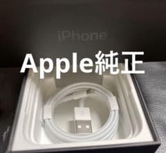 iPhone 번개 케이블 충전기 급속 순정품 Apple 정품 1