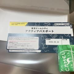 激安！東京ドームシティ ♪アクティブパスポート♪２枚 - 2