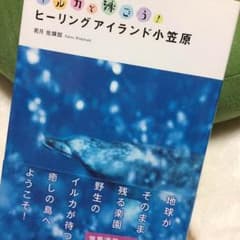 イルカと泳ごう！ヒーリングアイランド小笠原 若月佑輝郎のサムネイル