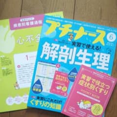 プチナース2018年6月号 解剖生理のサムネイル