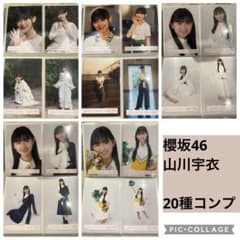 ☆購入前コメント要☆ 櫻坂46 山川宇衣 生写真 - 新参者 20種 - メルカリ