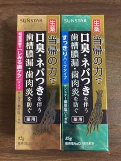 【最終値下げ　1/15まで】薬用ハミガキ 生薬 当帰の力　2本セットのサムネイル