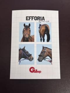 エフフォーリア　Gallop フォトプラス　名馬証明写真風のサムネイル