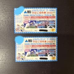 よみうりランドプールWAI ペアチケットのサムネイル