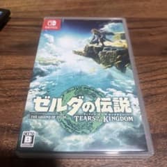젤다의 전설 티어즈 오브 더 킹덤 Switch