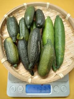 フィンガーライム 133.7g - メルカリ