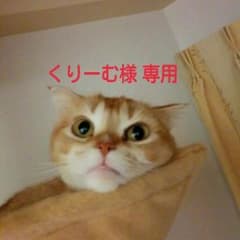 くりーむ様専用のサムネイル