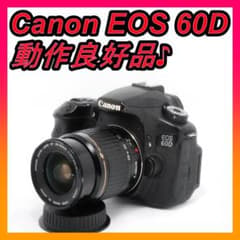 카메라 데뷔 Canon EOS 60D SLR 카메라 부속품 충실 미품