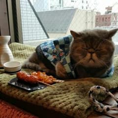 JUDY  ☆プロフ必読☆様専用のサムネイル