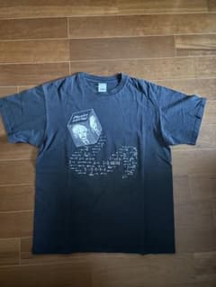 Anvil アインシュタイン Physics Tシャツ L