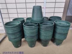 中古】【汚れあり】スリット鉢セット152個 - メルカリ