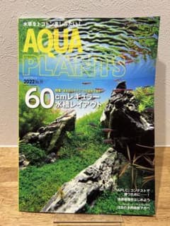 アクアプランツ(19) 2022年8月号のサムネイル