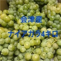 ナイアガラ4キロ箱ぶどうのサムネイル