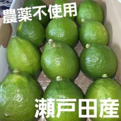 広島県瀬戸田産　グリーンレモンのサムネイル