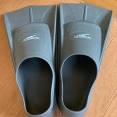 フィンのサムネイル