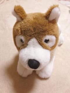 フランダースの犬 パトラッシュ ぬいぐるみ ロッテ セブンイレブン限定