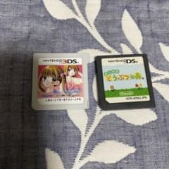 Nintendo 2本セット　DSおいでよどうぶつの森　3DS12歳のサムネイル
