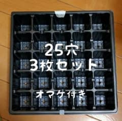 オマケ付き ☆ 25穴 育苗トレー 3枚のサムネイル